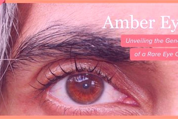 Rose, 24, a black amber-eyed caribbean companion based in Jiji. Offering A-Level, Striptease, Dinner Date, Roleplay. Available for incall and outcall, overni...