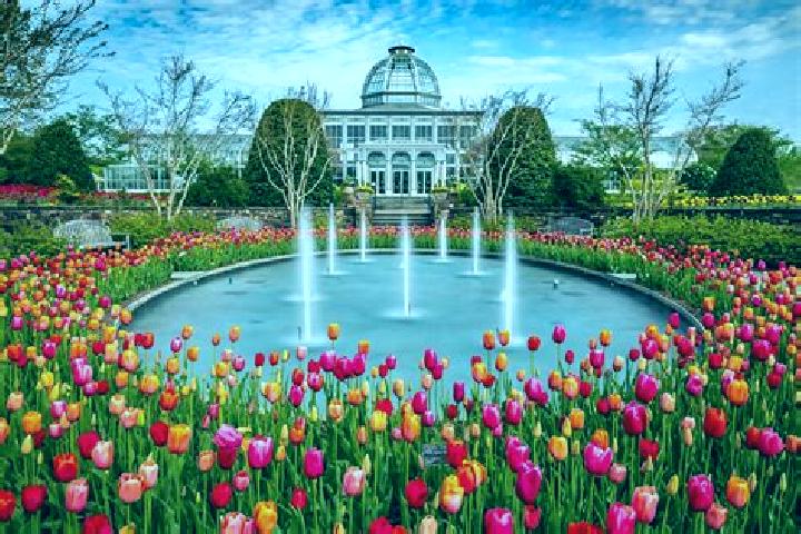 Rose, 24 — Escort in Bradley Gardens, United States