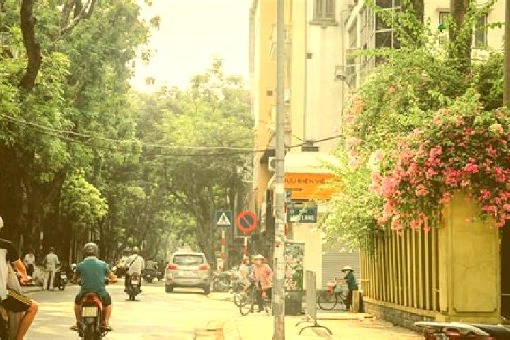 Rose, 25 — Escort in Dien Khanh, Vietnam