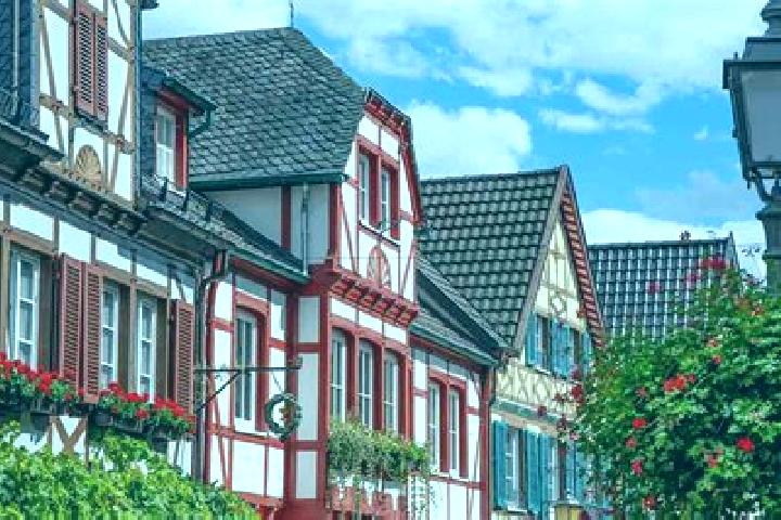 Rose, 25 — Escort in Lauffen am Neckar, Germany