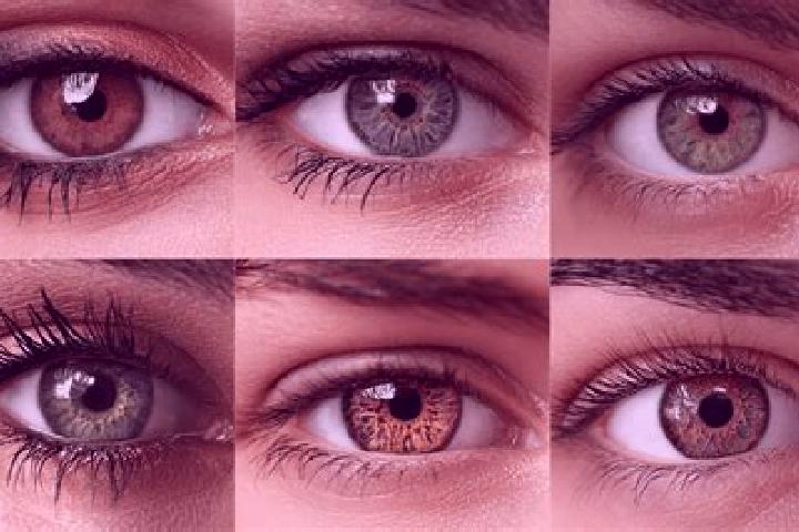 Rose, 26, a black hazel-eyed mixed companion based in Banggai. Offering OWO, BDSM, Party Girl, Couples. Available for incall and outcall, day and evening dates.
