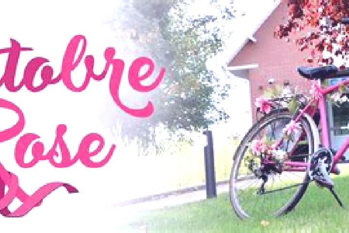 Rose, 26 — Escort in Folie Mericourt, France