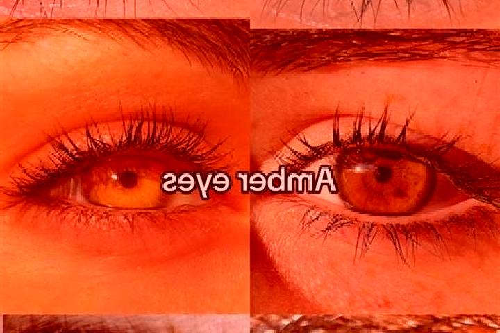 Rose, 27, a chestnut amber-eyed european companion based in Isola Vicentina. Offering Massage, Roleplay, GFE, Travel Companion. Available for incall and outc...