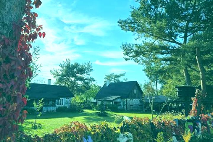 Rose, 27 — Escort in Kaweczyn, Poland