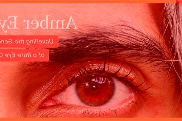 Rose, 28, a red amber-eyed european companion based in Runnells. Offering A-Level, 69, Overnight. Available for incall and outcall, overnight bookings availa...