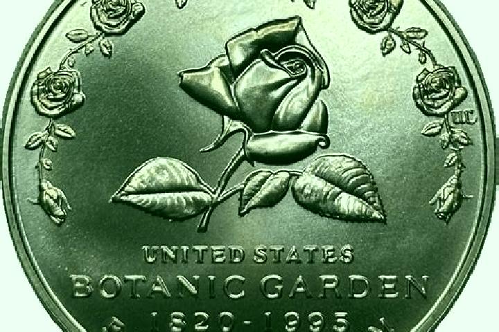Rose, 28 — Escort in Fair Garden, United States