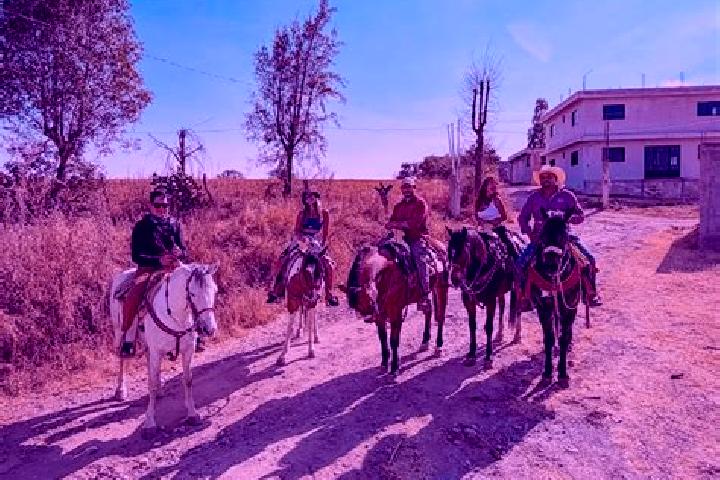 Rose, 28 — Escort in Las Yeguas, Mexico