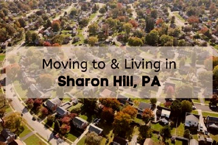Rose, 28 — Escort in Sharon Hill, United States