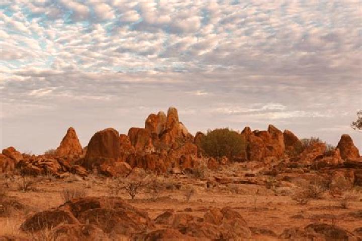 Rose, 29 — Escort in Tanami, Australia