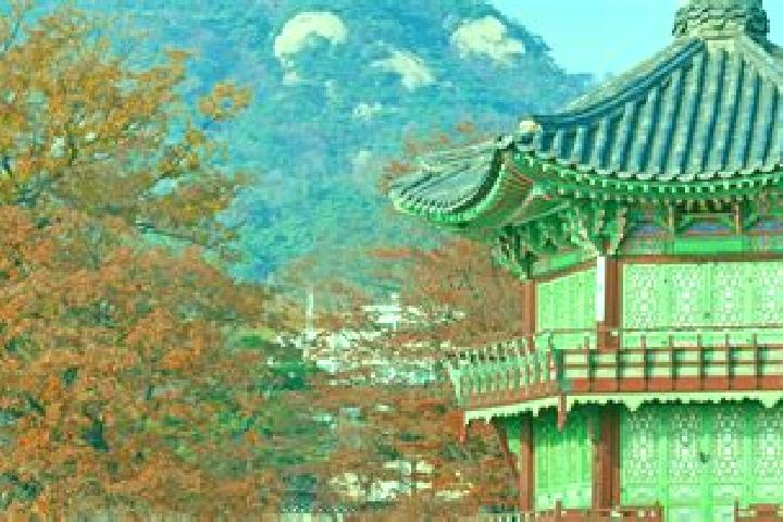 Rose, 30 — Escort in Cheongju-si, South Korea