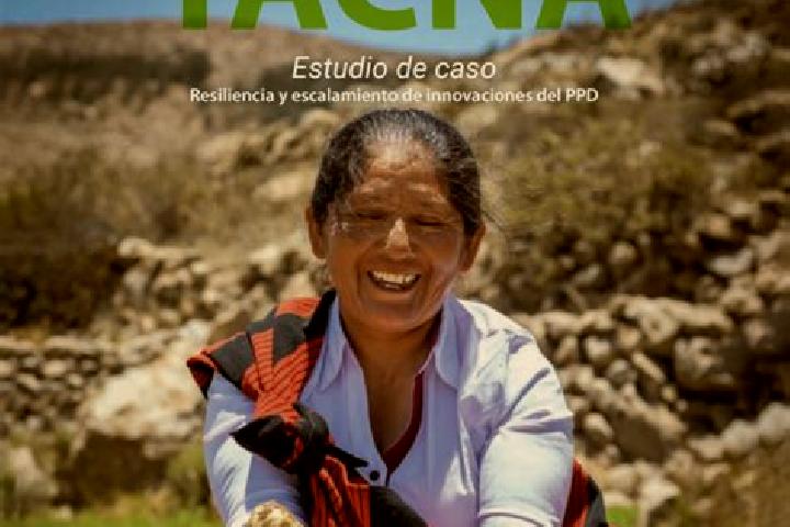 Rose, 31 — Escort in Capaso, Peru