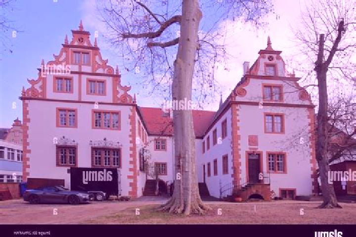 Rose, 31 — Escort in Gross-Umstadt, Germany