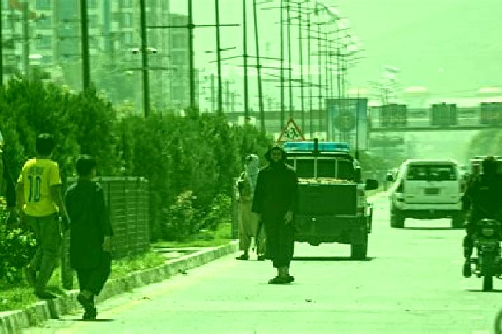 Rose, 31 — Escort in Kabul, Israel