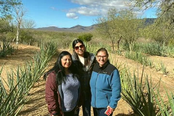 Rose, 31 — Escort in Las Vinatas, Mexico