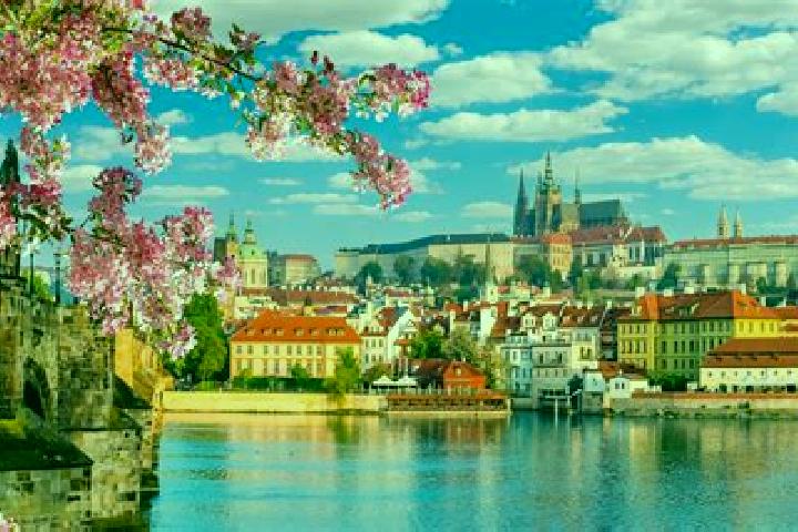 Rose, 31 — Escort in Prague, Czech Republic