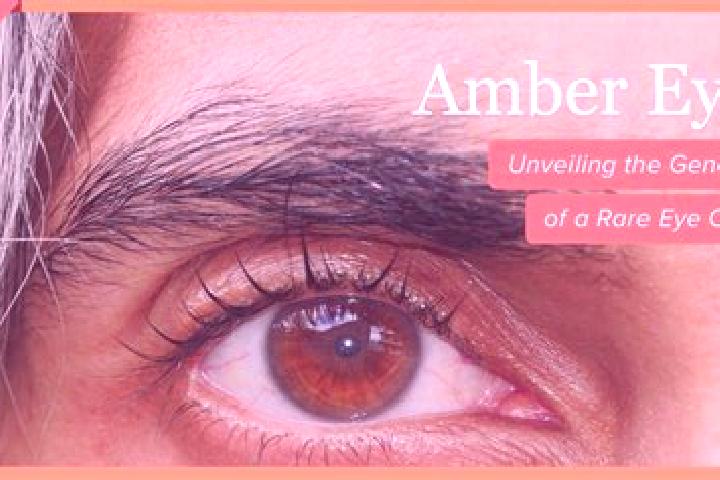 Rose, 32, a red amber-eyed caribbean companion based in Goudhurst. Offering Erotic Massage, 69, Duos, Girlfriend Experience, Overnight. Available for incall ...