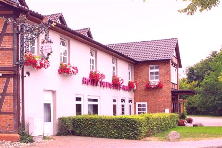 Rose, 32 — Escort in Meinersen, Germany