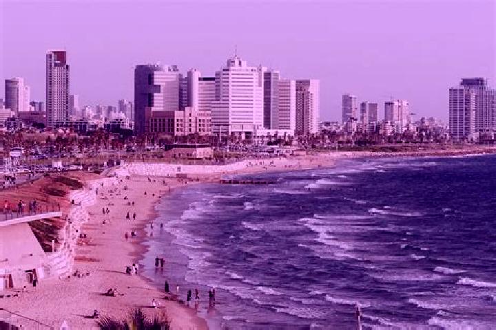 Rose, 32 — Escort in Zalafa, Israel