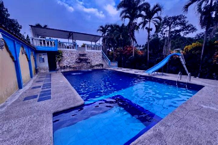 Rose, 33 — Escort in La Avanzada, Ecuador