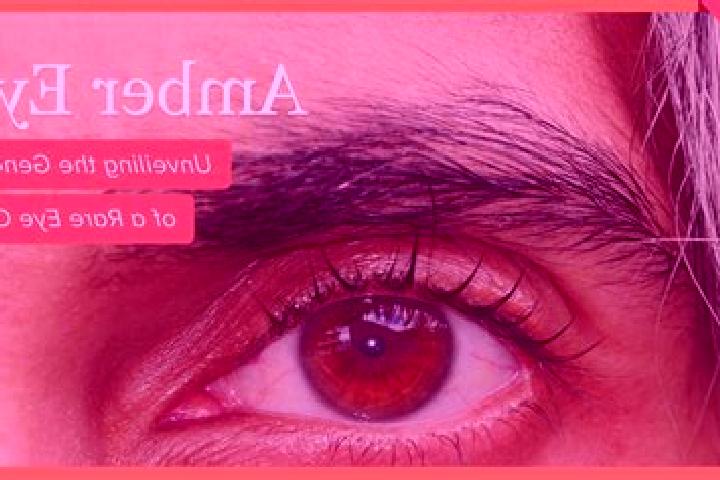 Rose, 34, a black amber-eyed mediterranean companion based in Honey Grove. Offering Prostate Massage, Couples, OWO, Striptease. Available for incall and outc...
