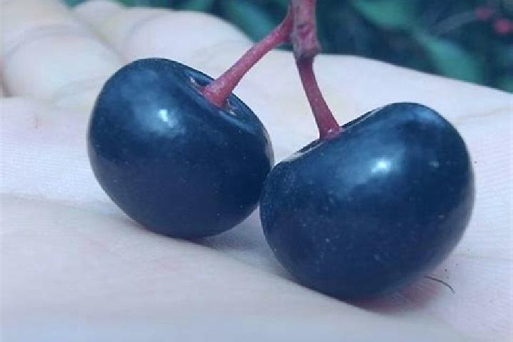 Rose, 34, a red dark-eyed middle eastern companion based in El Capulin Chocolate. Offering Overnight, Tantra, Prostate Massage. Available for incall and outc...