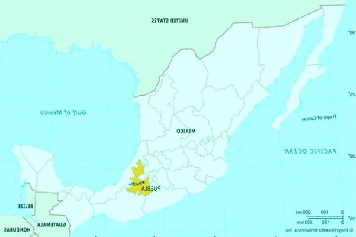 Rose, 34 — Escort in Apetlanca, Mexico