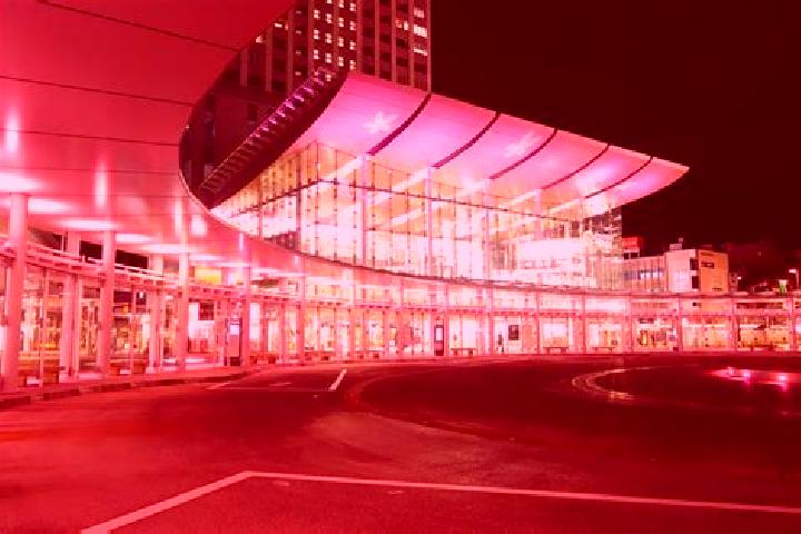 Rose, 34 — Escort in Takefu, Japan