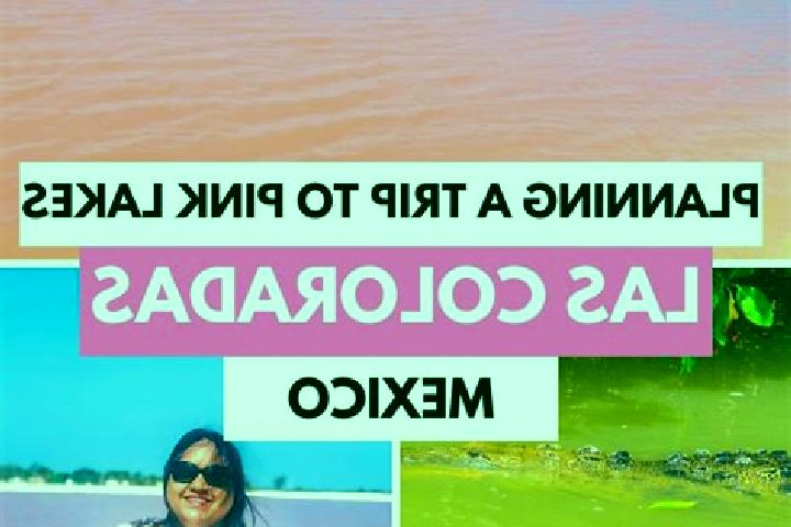 Rose, 34 — Escort in Tierras Coloradas, Mexico
