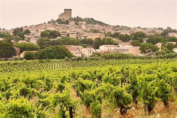 Rose, 35 — Escort in Chateauneuf-du-Rhone, France