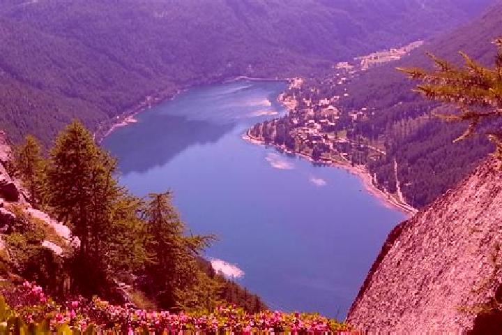 Rose, 36 — Escort in Ceresole Reale, Italy