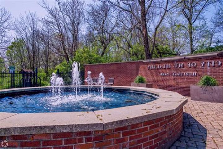 Rose, 36 — Escort in Mount Healthy Heights, United States
