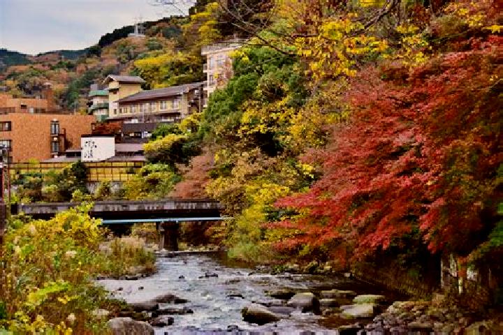 Rose, 36 — Escort in Yugawara, Japan