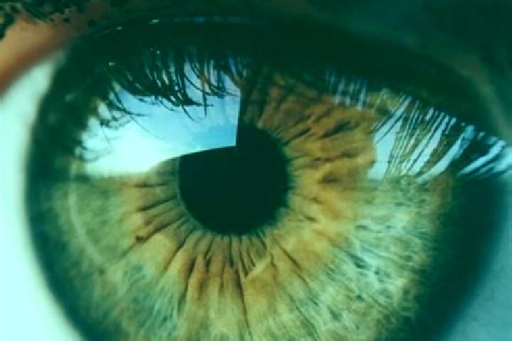 Rose, 37, a dark blonde hazel-eyed slavic companion based in Skyttorp. Offering A-Level, Dinner Date, OWO. Available for incall and outcall, overnight bookin...