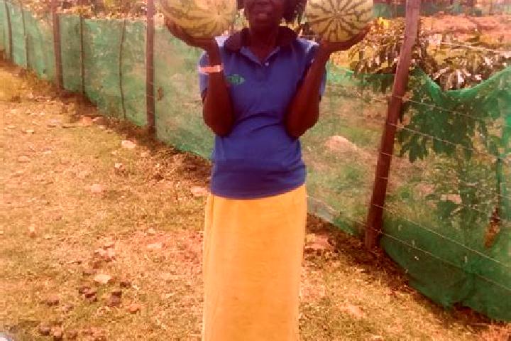 Rose, 38 — Escort in Homa Bay, Kenya