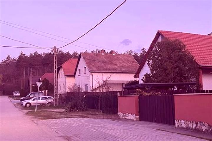 Rose, 38 — Escort in Sajoszoged, Hungary