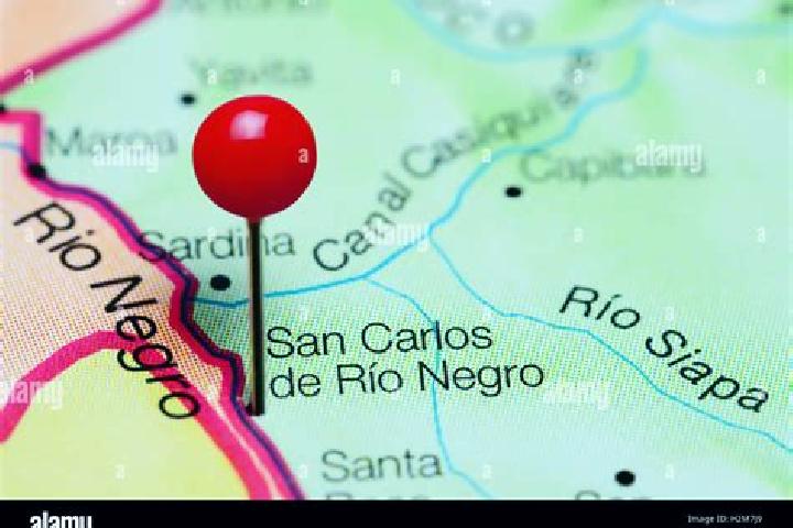 Rose, 38 — Escort in San Carlos de Rio Negro, Venezuela