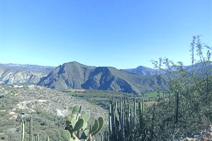 Rose, 38 — Escort in San Juan Tepecoculco, Mexico
