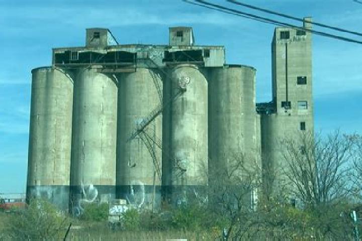 Rose, 38 — Escort in The Silos, United States