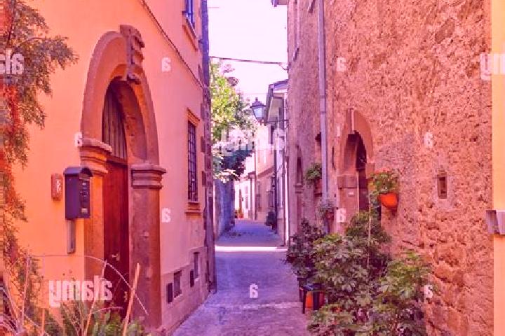 Rose, 39 — Escort in Arnara, Italy