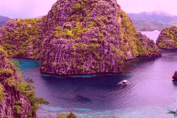 Rose, 39 — Escort in Caminauit, Philippines