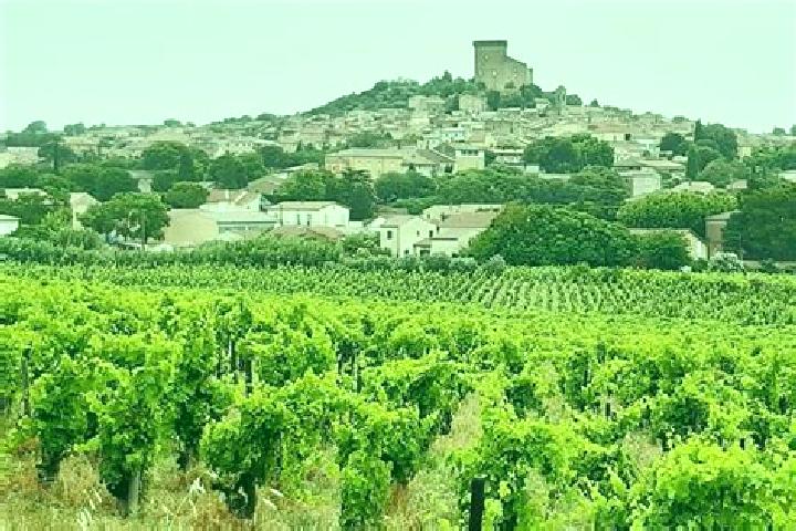 Rose, 39 — Escort in Chateauneuf-du-Rhone, France