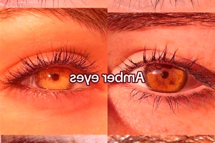 Ruby, 20, a chestnut amber-eyed ebony companion based in Maybole. Offering Deep French Kissing, Girlfriend Experience, CIM. Available for incall and outcall,...