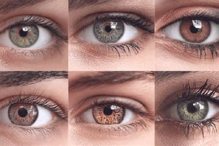 Ruby, 20, a red hazel-eyed middle eastern companion based in La Maddalena. Offering Duos, Fetish, Domination. Available for incall and outcall, overnight boo...