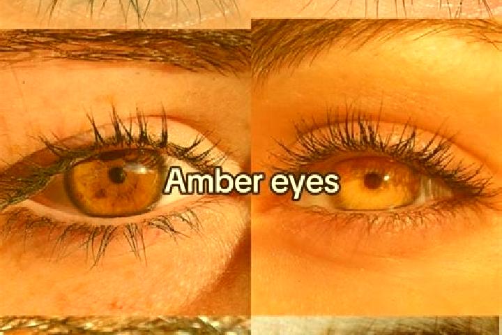 Ruby, 22, a chestnut amber-eyed middle eastern companion based in Lautenbach. Offering Massage, Fetish, A-Level. Available for incall and outcall, overnight ...