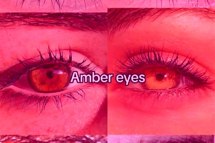 Ruby, 23, a chestnut amber-eyed caucasian companion based in Ucgoz. Offering Girlfriend Experience, Fetish, CIM, BDSM. Available for incall and outcall, day ...