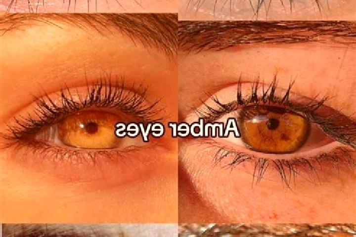 Ruby, 24, a brunette amber-eyed caribbean companion based in San Bernardo Mixtepec. Offering OWO, Couples, Overnight, Roleplay. Available for incall and outc...