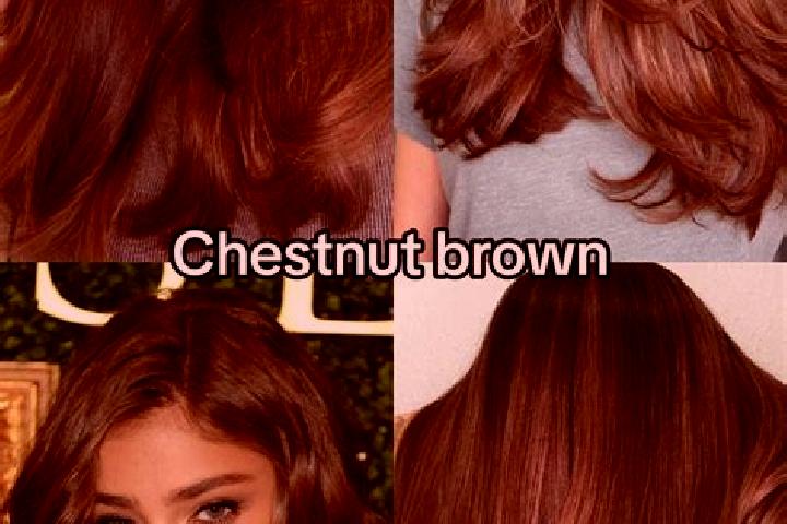 Ruby, 25, a chestnut brown-eyed mediterranean companion based in Cinco de Mayo. Offering CIM, Travel Companion, OWO. Available for incall and outcall, overni...