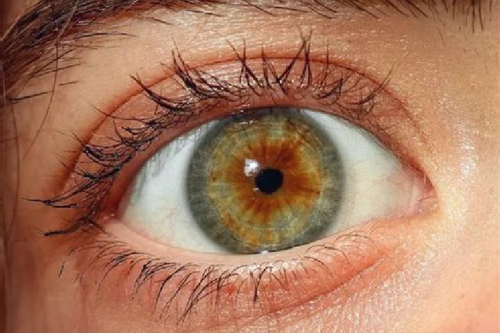 Ruby, 28, a red hazel-eyed european companion based in Mitterlabill. Offering Fetish, OWO. Available for incall and outcall, day and evening dates.