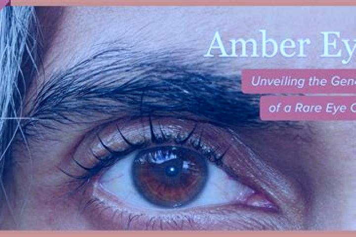 Ruby, 29, a red amber-eyed mixed companion based in Cusma. Offering Roleplay, Erotic Massage, GFE. Available for incall and outcall, overnight bookings avail...