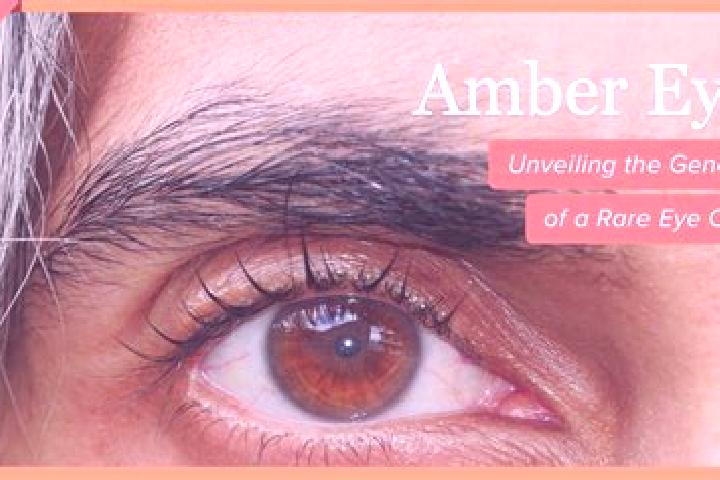 Ruby, 32, a black amber-eyed european companion based in Horice. Offering Dinner Date, CIM, GFE. Available for incall and outcall, day and evening dates.